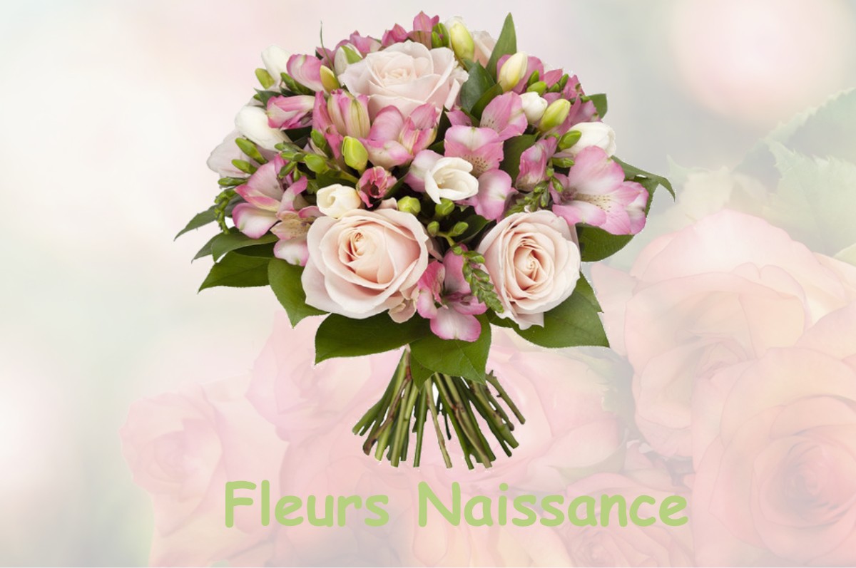 fleurs naissance MUSSY-LA-FOSSE